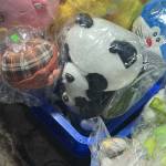 Mon ở Phan Thiết, Bình Thuận - Tìm bạn tâm sự