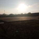 Quí ở Bình Thủy, Cần Thơ - Vui vẻ