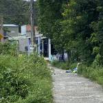 Bi Bi ở Đất Đỏ, Bà Rịa - Vũng Tàu - Onsss vui là được