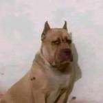 Nam ở Gò Vấp, TP Hồ Chí Minh - Tìm fwb