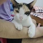 Hoang ở Thanh Khê, Đà Nẵng - sinh viên đại học