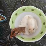 An - tim ban trai da ly hon qua so dien thoai