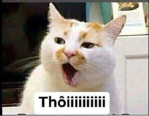 Nguyễn Trung (Nam) Độc thân - Tìm FWB ONS tại Phong Điền Cần Thơ