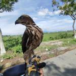 vietanh007 ở Yên Thành, Nghệ An - jacagbs