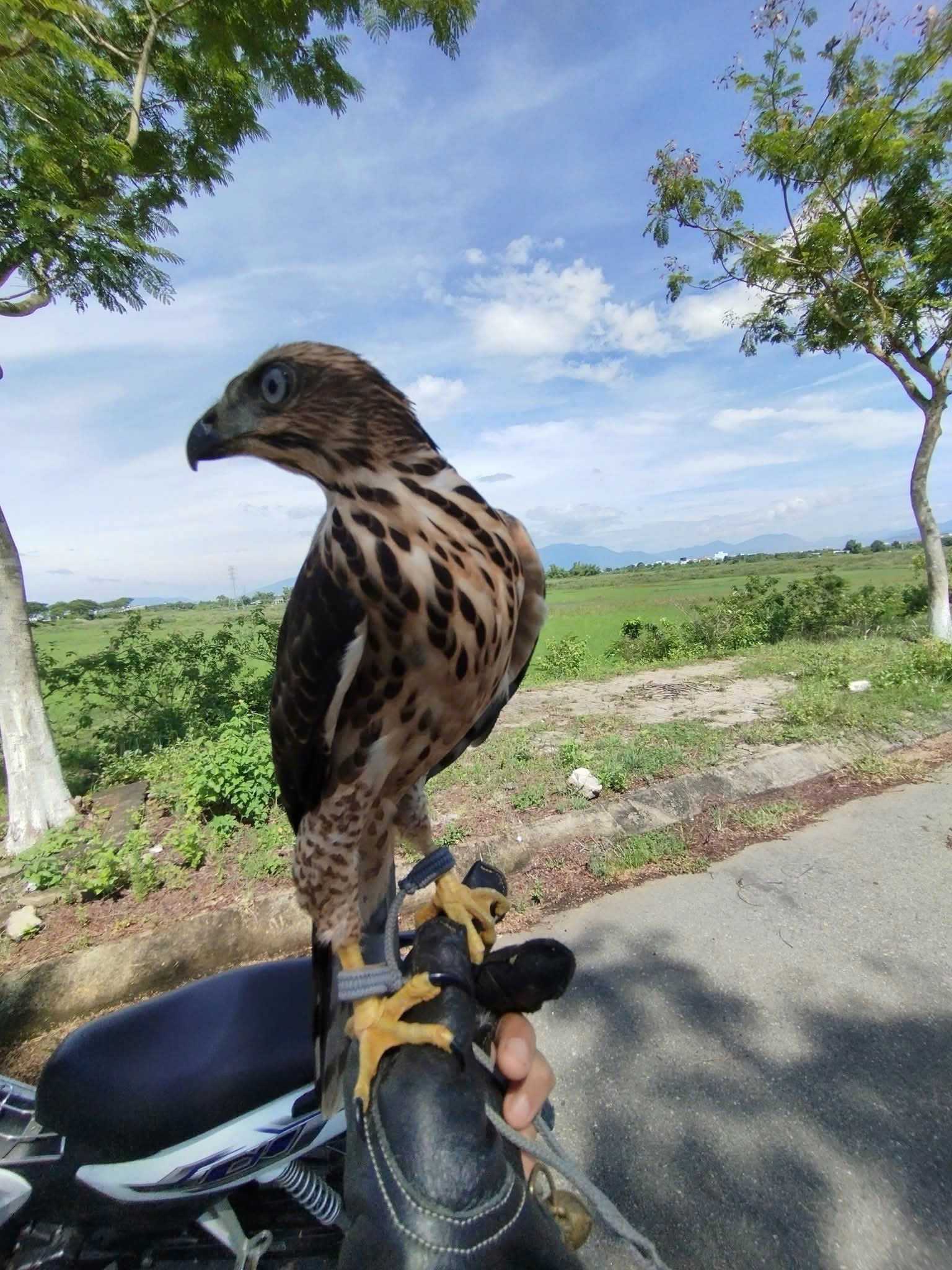 vietanh007 (Nam) Độc thân - Kết bạn hẹn hò tại Yên Thành Nghệ An