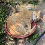 Đức Duy ở Hạ Long, Quảng Ninh - tìm bạn