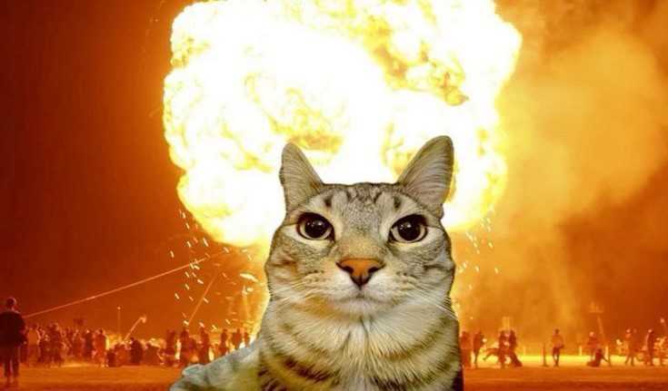 hoang nam (Nam) Độc thân - Tìm FWB ONS tại Hải Châu Đà Nẵng