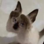 3Soul ở Huế, Thừa Thiên Huế - Feb