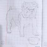 Lê văn tuấ ở Điện Bàn, Quảng Nam - Không