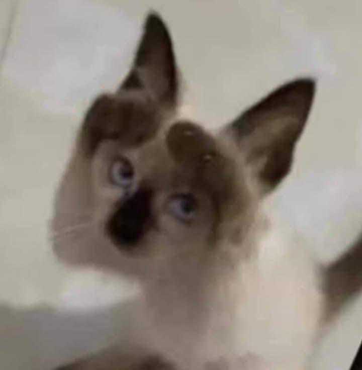 3Soul (Nam) Độc thân - Tìm FWB ONS tại Huế Thừa Thiên Huế