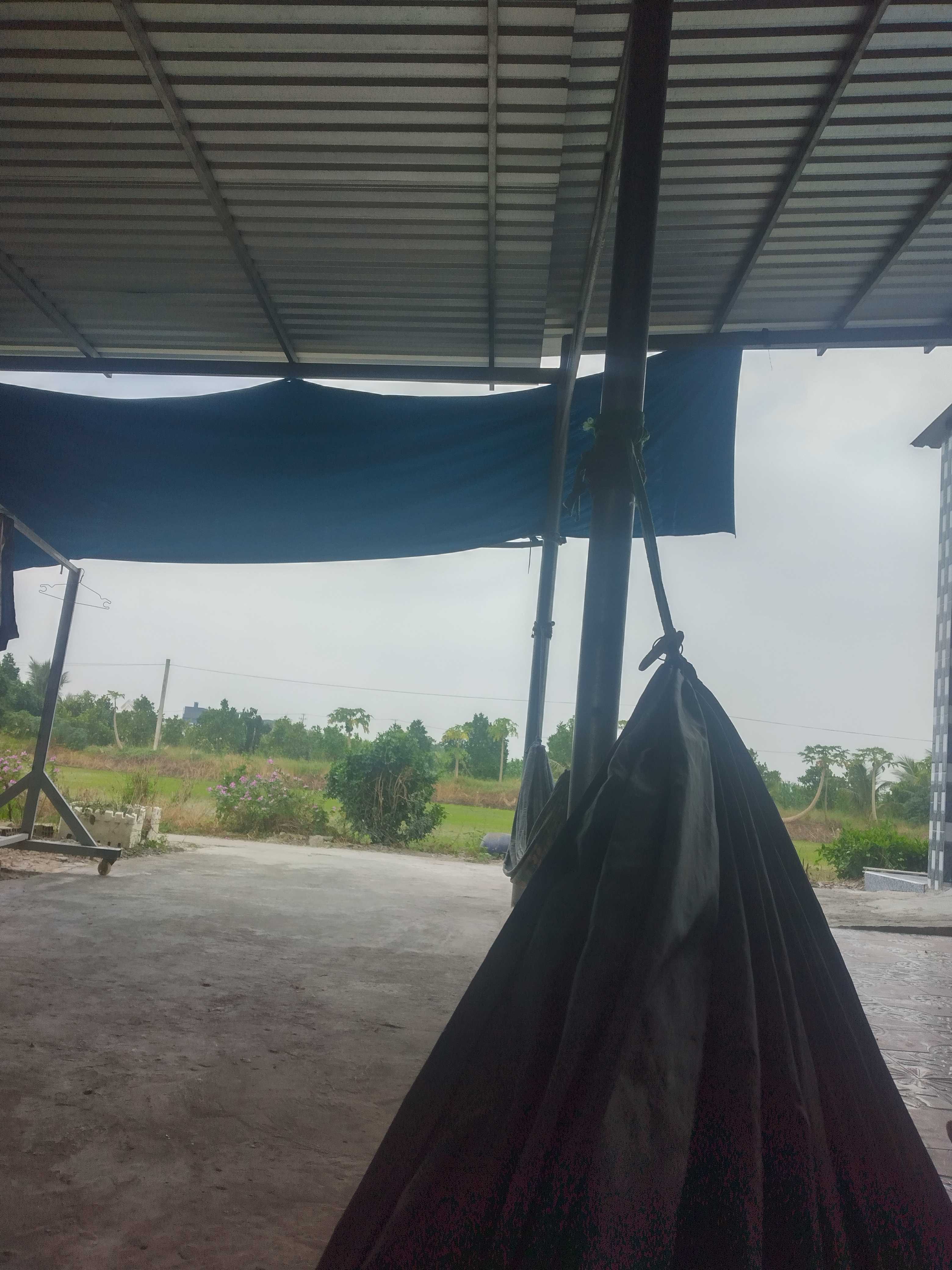 Hoaiphung (Nam)  -  tại  