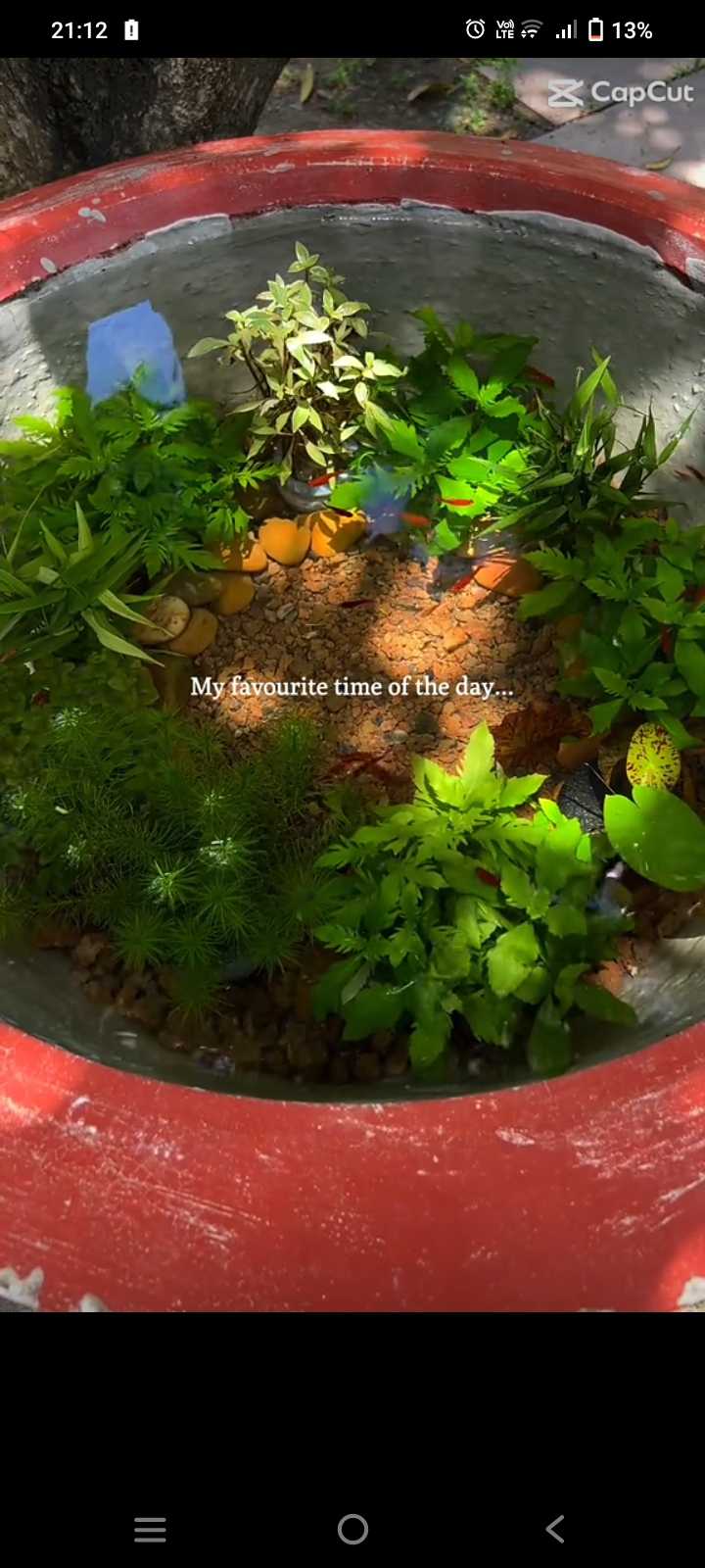 Bảo (Nam) Độc thân - Kết bạn hẹn hò tại Tân An Long An