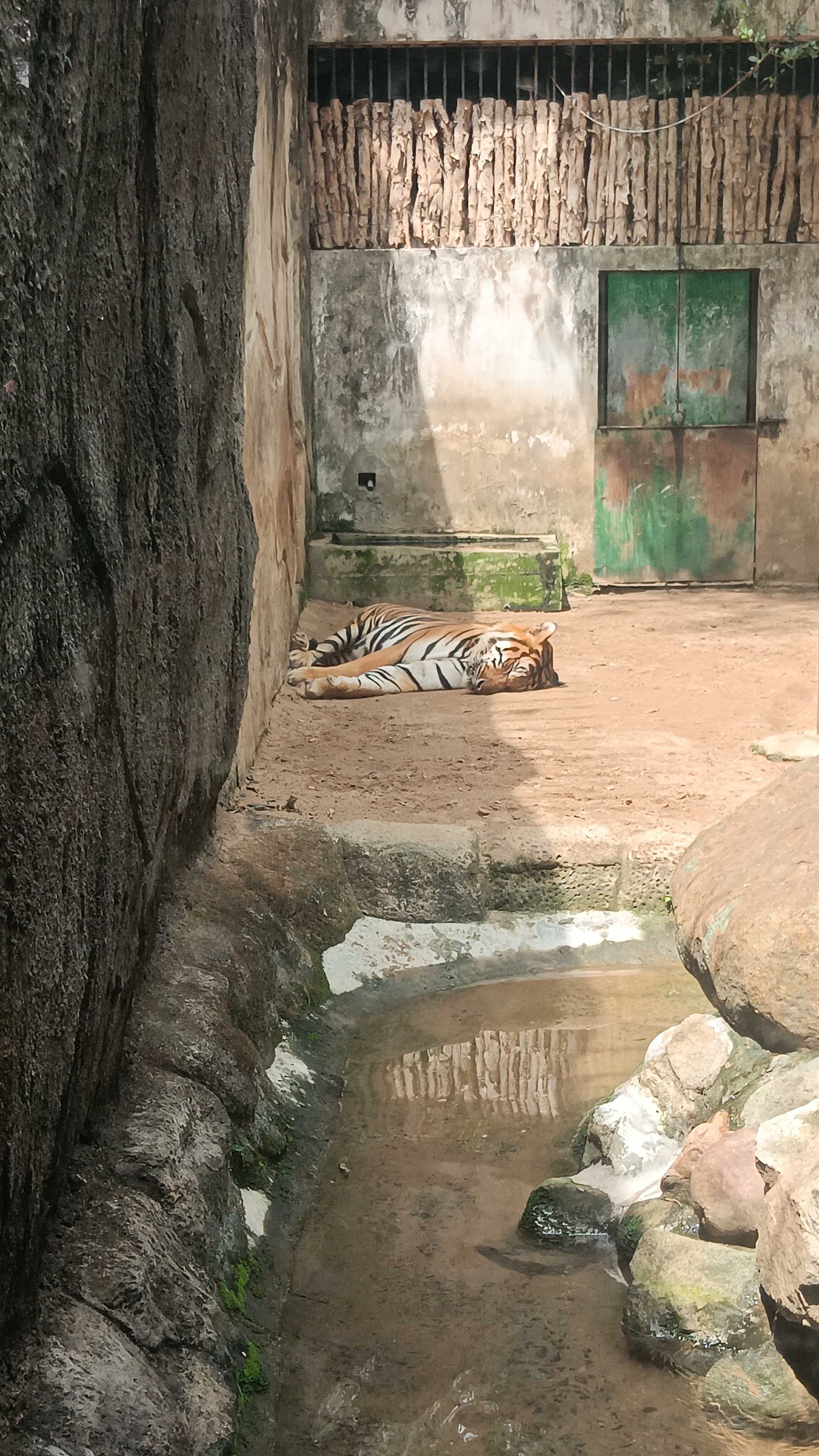 PH1994 (Nam)  -  tại  