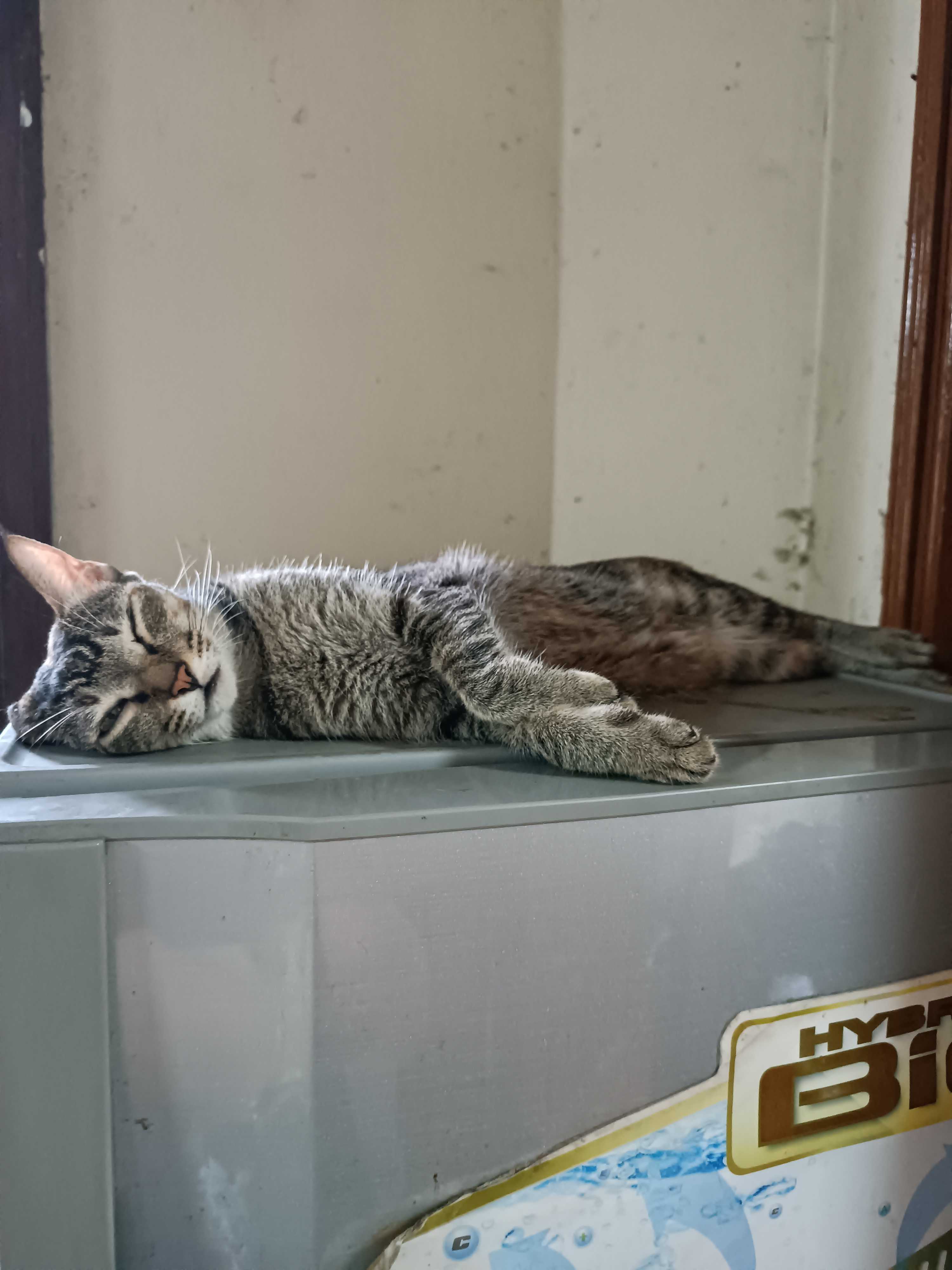 Vu Van Quy (Gay) Độc thân - Kết bạn hẹn hò tại Phủ Lý Hà Nam