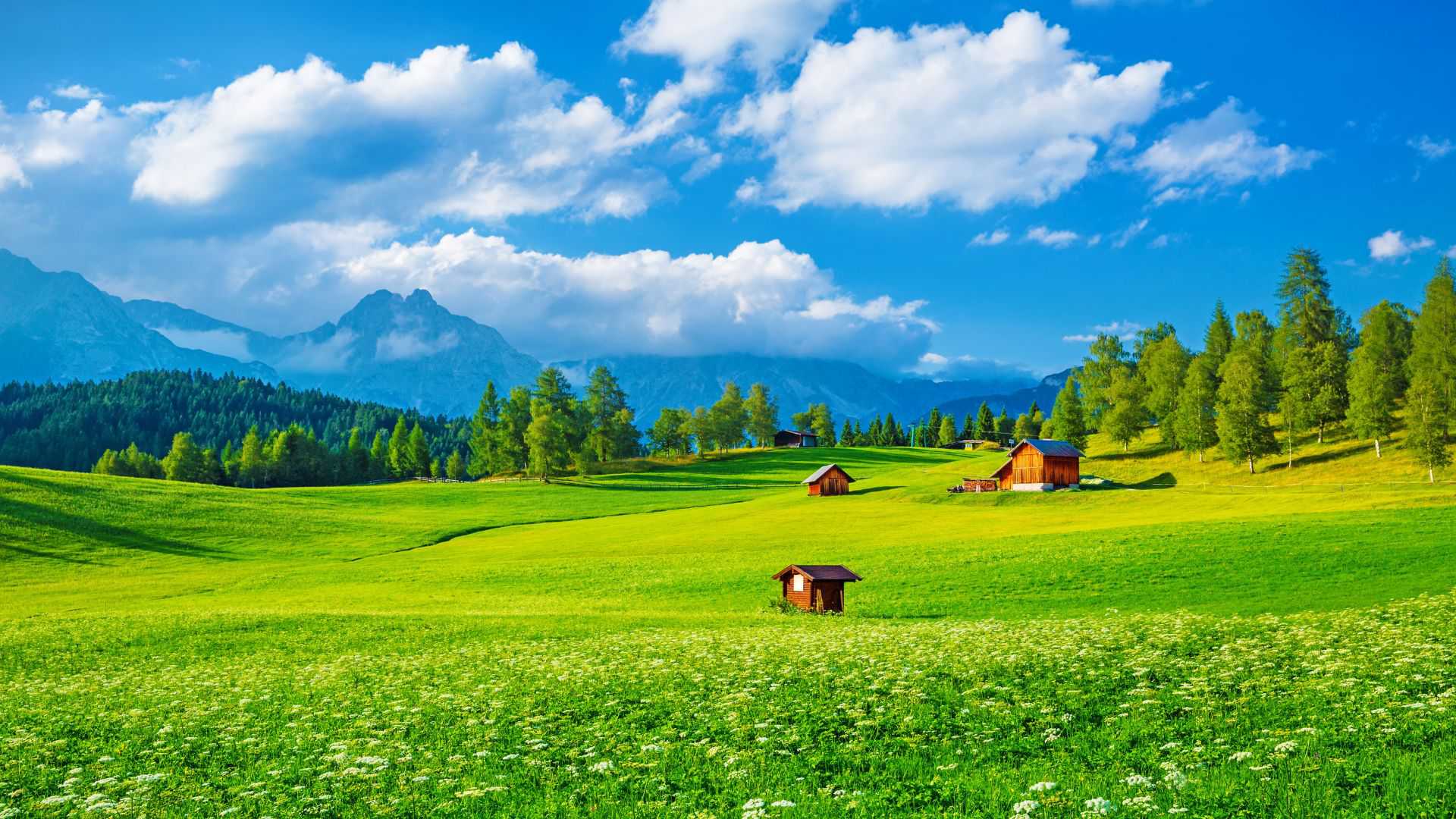 Kieu thanh Nam (Nam) Độc thân - Kết bạn hẹn hò tại Thanh Khê Đà Nẵng