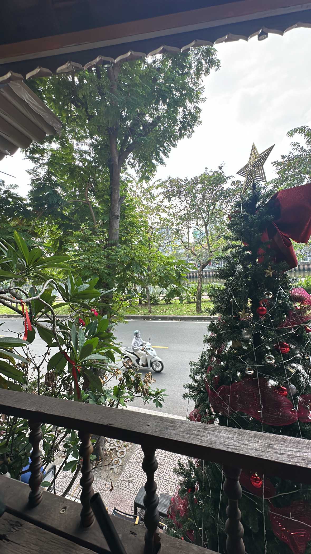 lavieee (Les) Độc thân - Kết bạn hẹn hò tại Quận 12 TP Hồ Chí Minh