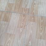 Hữu Ngọc ở Bình Đại, Bến Tre - Vui vẻ sống noi tâm