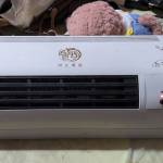 Nam ở Cà Mau, Cà Mau - iii