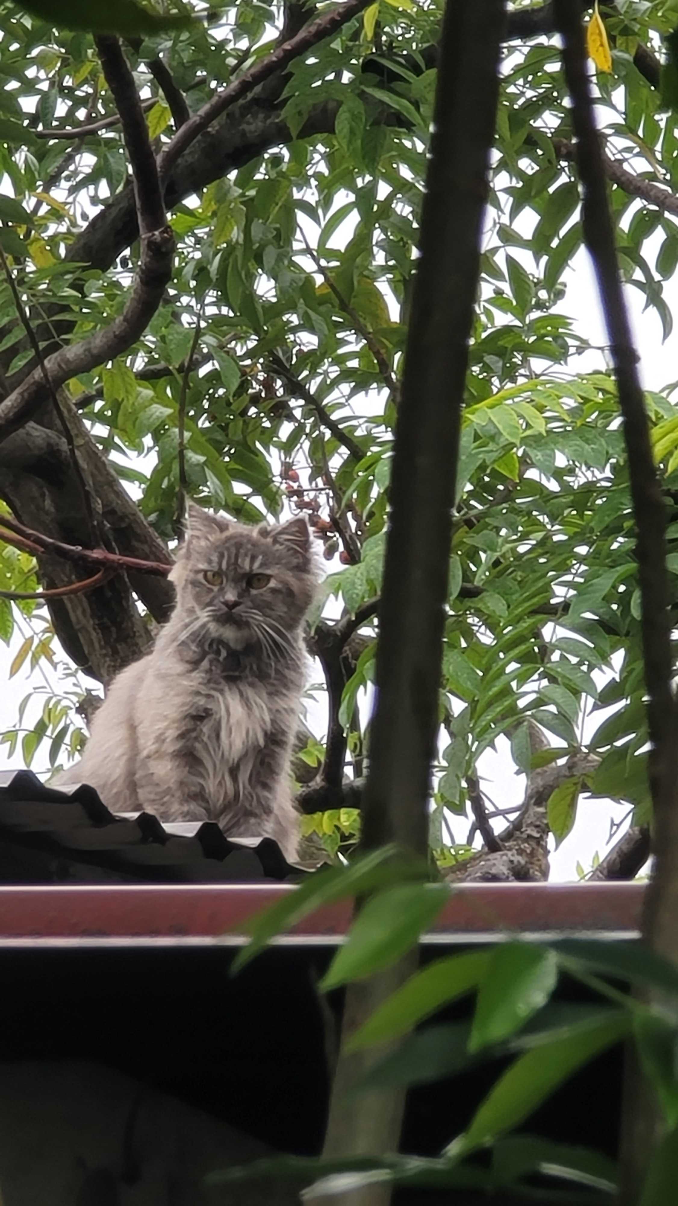 Thèm Djt Quá (Nam) Độc thân - Kết bạn hẹn hò tại Tiên Lữ Hưng Yên