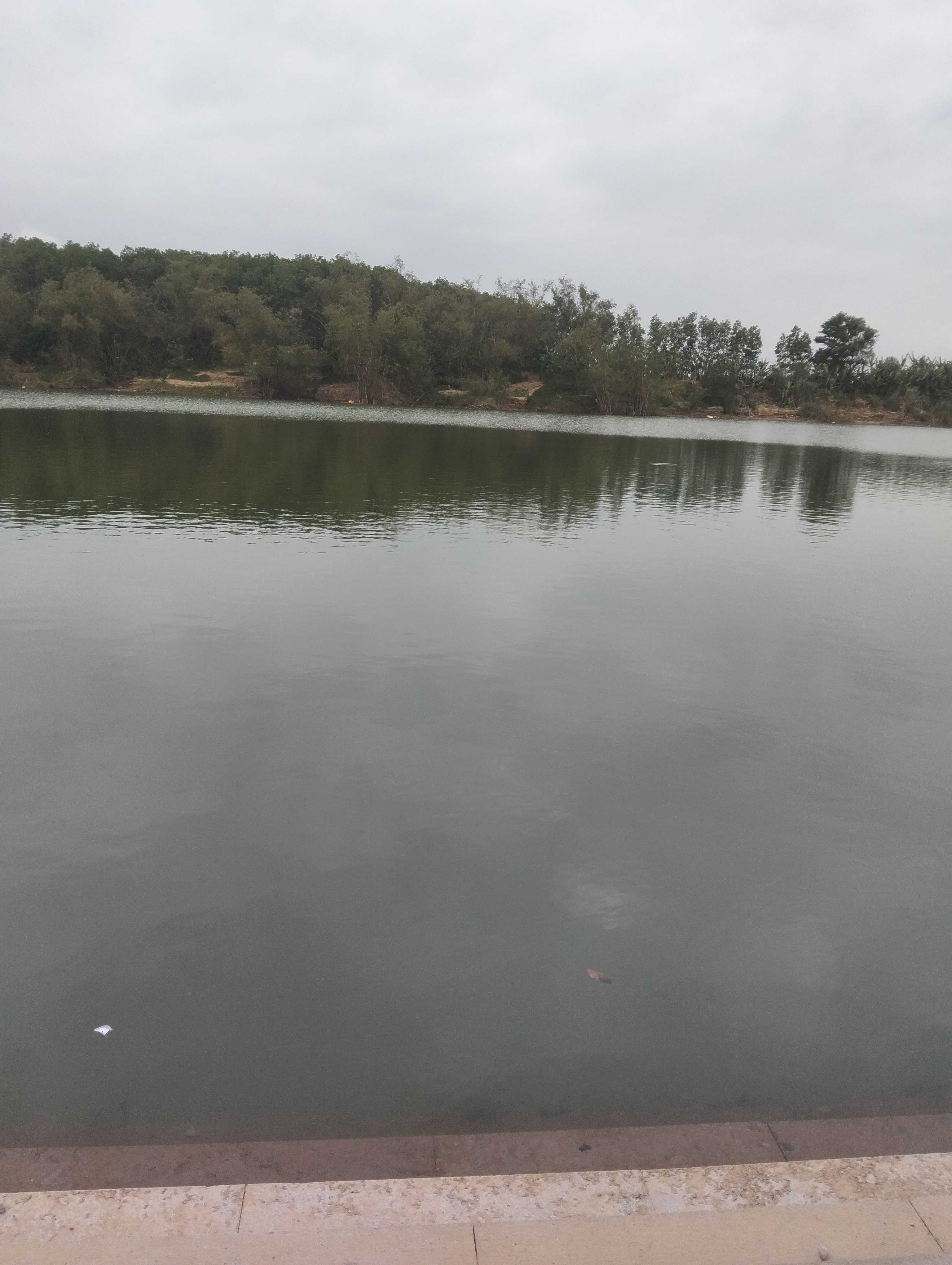 Nguyễn Xuân vinh (Nam) Độc thân - Kết bạn hẹn hò tại Quảng Trị Quảng Trị