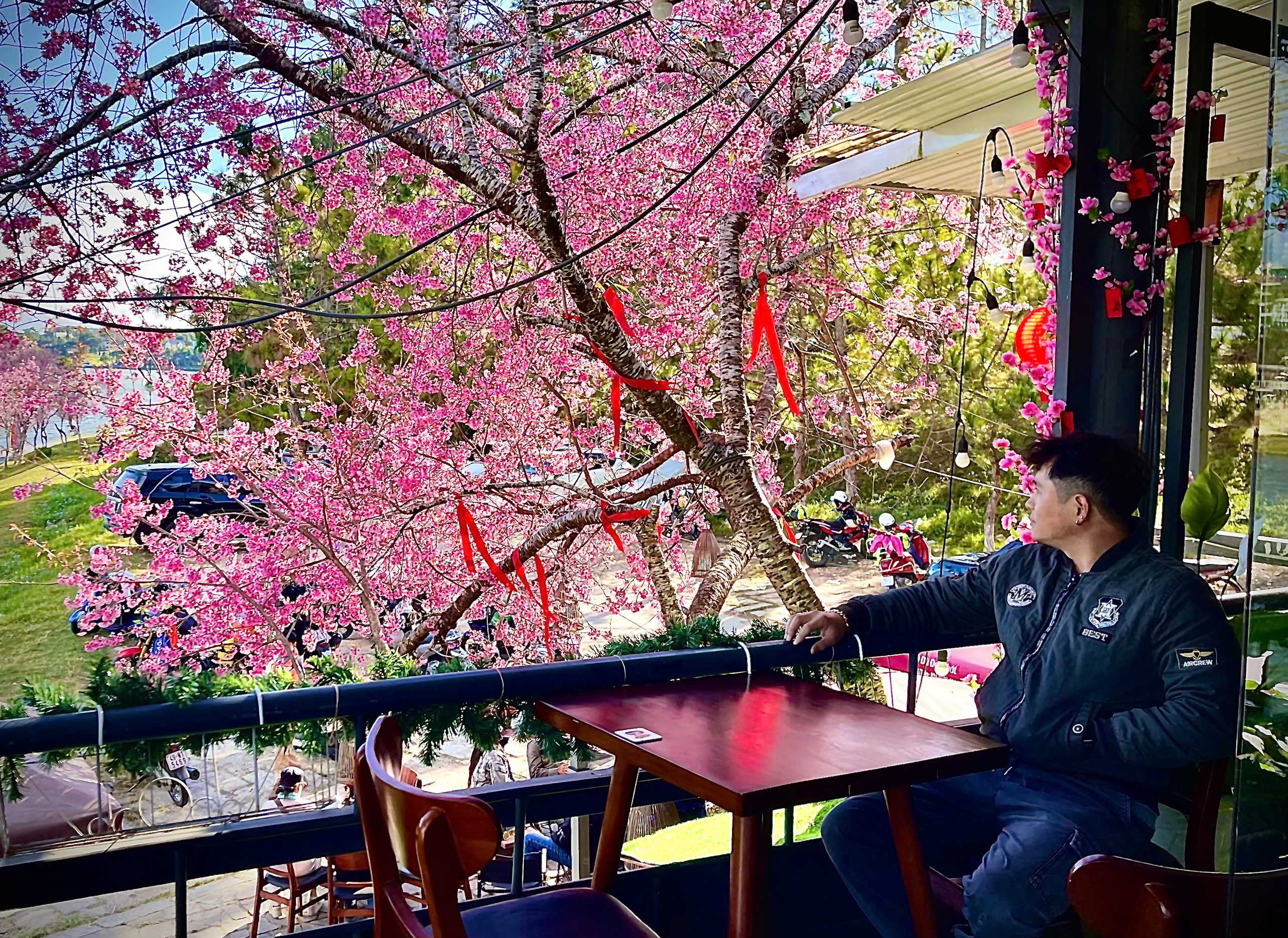 Bin (Nam) Độc thân - Tìm bạn tâm sự tại Đà Lạt Lâm Đồng