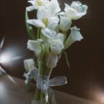 VAN ở Huế, Thừa Thiên Huế - Y