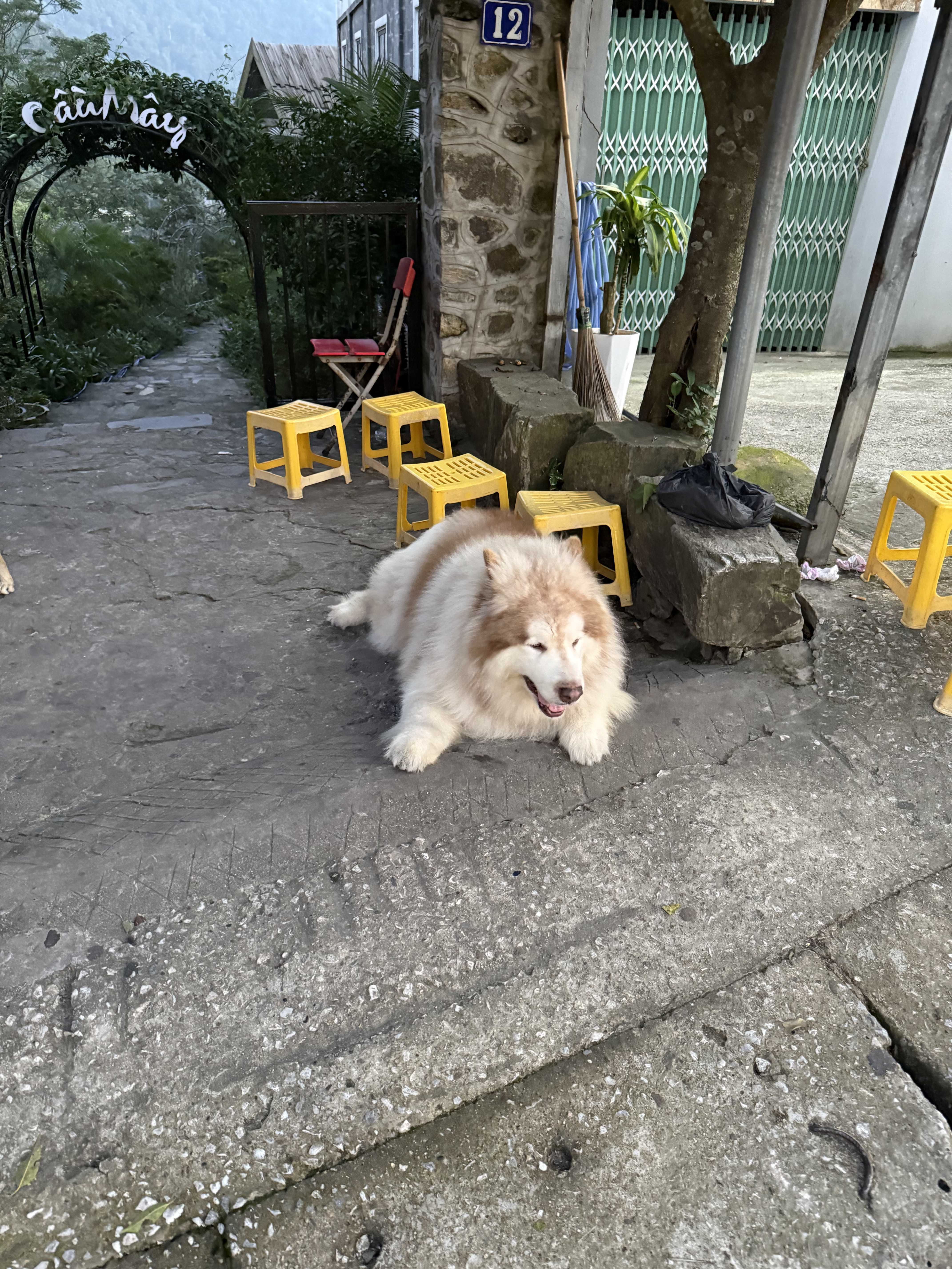 Minh (Nam) Độc thân - Kết bạn hẹn hò tại Thuỷ Nguyên Hải Phòng