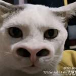 Phạm cao h ở Quận 9, TP Hồ Chí Minh - Tìm fwb