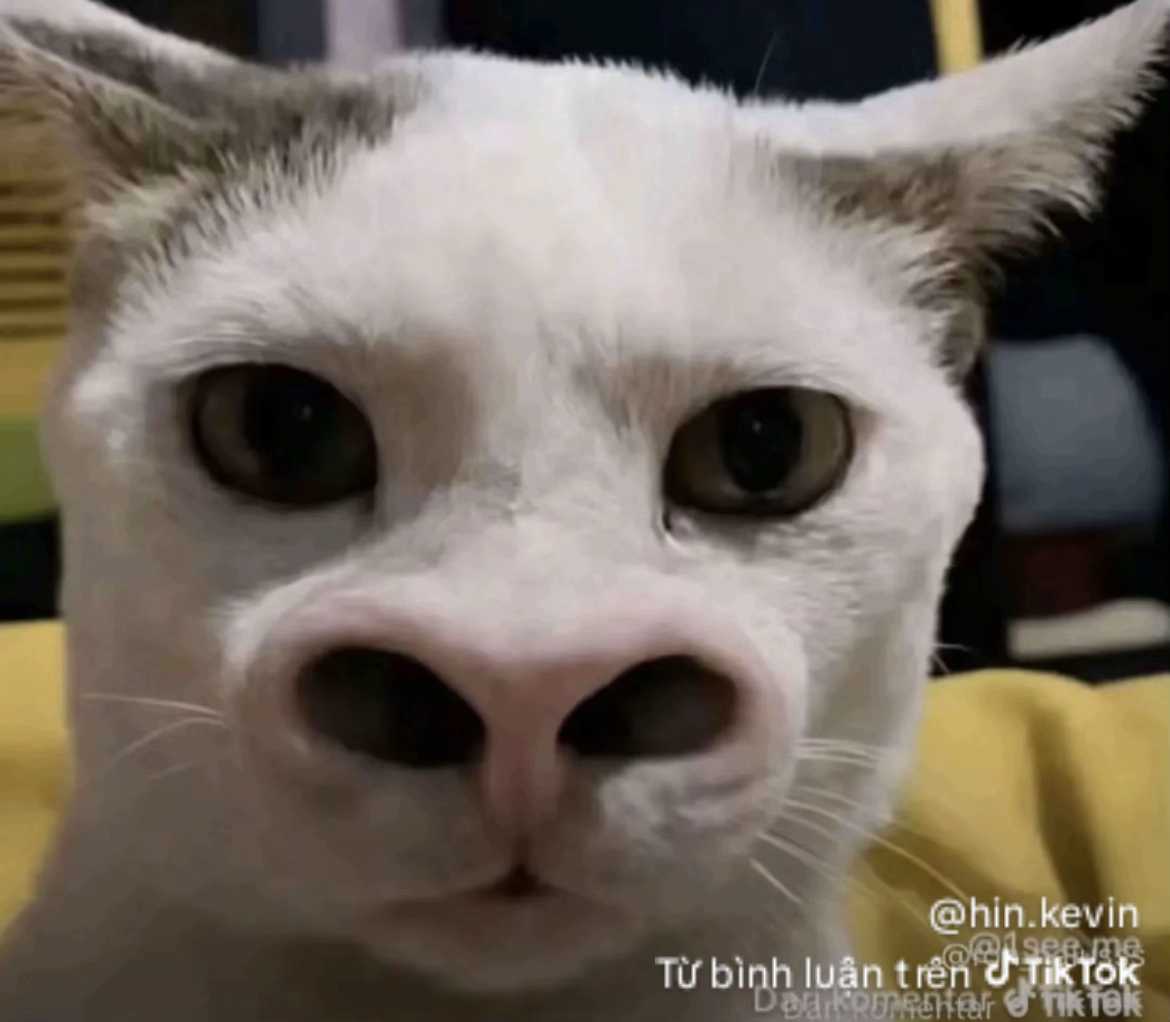 Phạm cao hiênd (Nam) Độc thân - Kết bạn hẹn hò tại Quận 9 TP Hồ Chí Minh