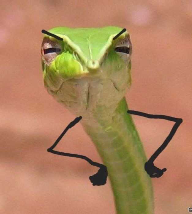 Đinh Tiến Đạt (Nam) Độc thân - Kết bạn hẹn hò tại Ân Thi Hưng Yên