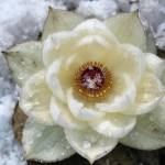 My Love ở Bình Tân, TP Hồ Chí Minh - Bình thường