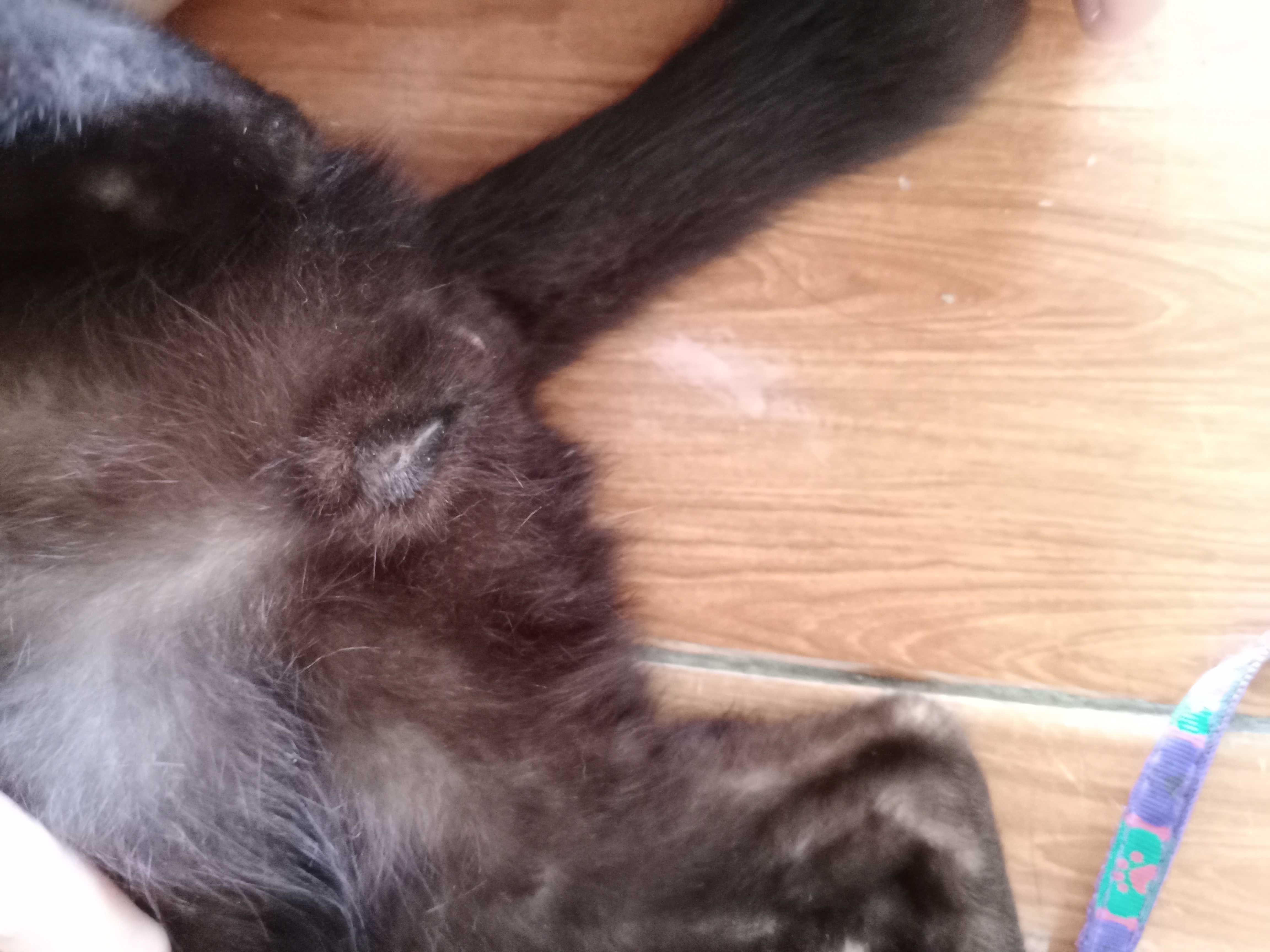 Trung (Nam) Độc thân - Tìm FWB ONS tại Long Xuyên An Giang