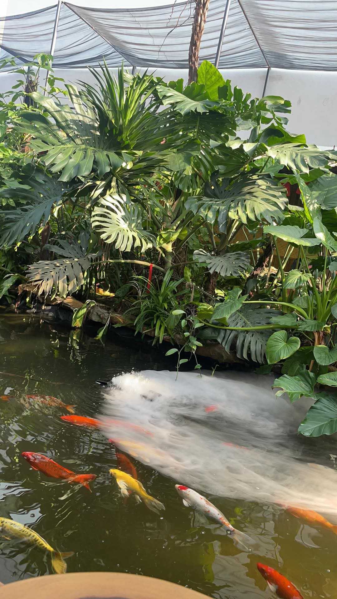 hảo hao (Nam) Độc thân - Kết bạn hẹn hò tại Tam Kỳ Quảng Nam