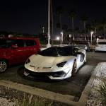 Phắn ở Ngũ Hành Sơn, Đà Nẵng - Biến con mẹ mày