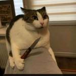 Kit ở Quận 4, TP Hồ Chí Minh - Tìm Fwb