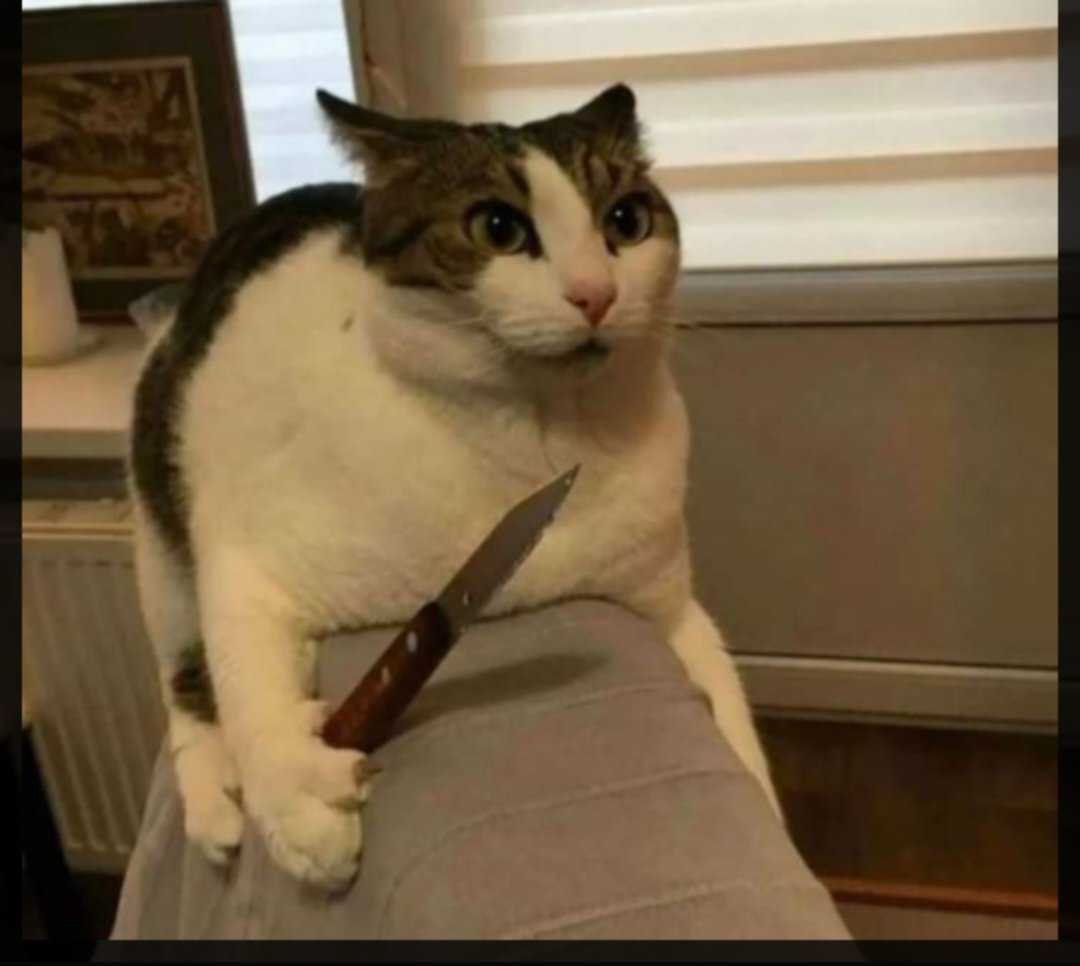 Kit (Nam) Độc thân - Tìm FWB ONS tại Quận 4 TP Hồ Chí Minh