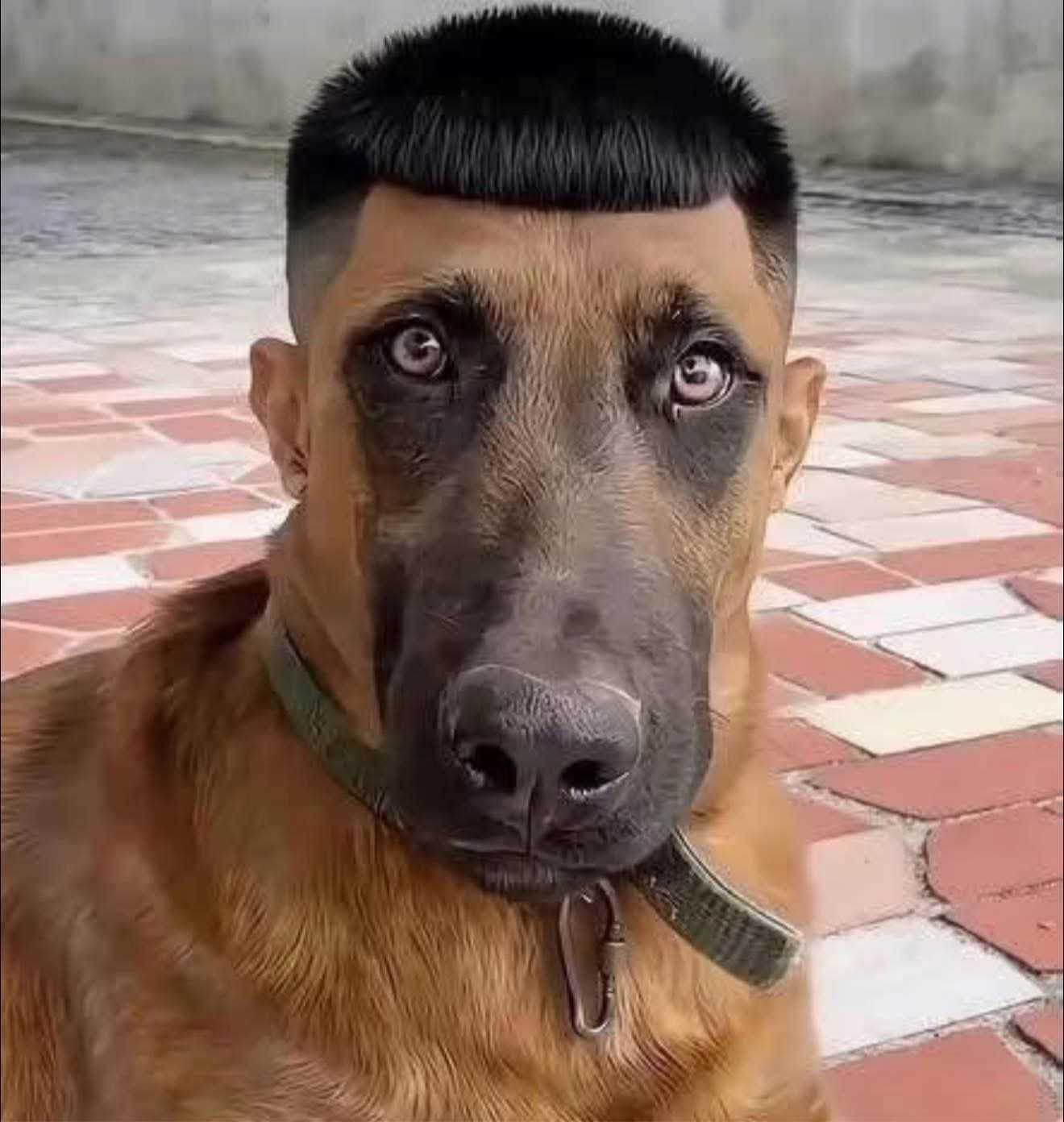 Ngu (Nam) Độc thân - Tìm FWB ONS tại Bảo Lộc Lâm Đồng