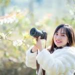 mia ở Côn Đảo, Bà Rịa - Vũng Tàu - hello