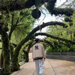 DatLeThanh ở ,  - 
