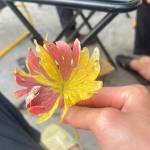 Hoanducn ở ,  - 