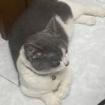 xuantruong ở ,  - 
