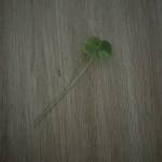 vanquan000 ở ,  - 