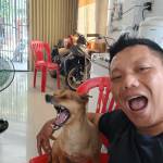Vantruyen ở ,  - 